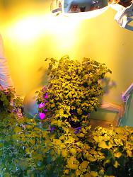 Нажмите на изображение для увеличения.&nbsp;

Название:	IMG_2016-08-09_135104.jpg&nbsp;
Просмотров:	11&nbsp;
Размер:	82.8 Кб&nbsp;
ID:	14133