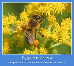 Нажмите на изображение для увеличения.&nbsp;

Название:	motivator-4562.jpg&nbsp;
Просмотров:	2&nbsp;
Размер:	51.6 Кб&nbsp;
ID:	16913