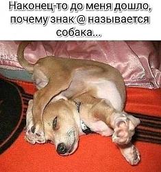 Нажмите на изображение для увеличения.&nbsp;

Название:	image (22).jpg&nbsp;
Просмотров:	2&nbsp;
Размер:	78.6 Кб&nbsp;
ID:	18265