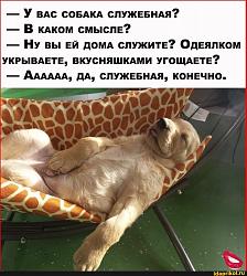 Нажмите на изображение для увеличения.&nbsp;

Название:	35bb87d08e6619b46dcb124a865f0b9859126ca9d4acdbc3e43382756c09ee8c_1.jpg&nbsp;
Просмотров:	3&nbsp;
Размер:	81.3 Кб&nbsp;
ID:	18334