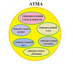 Нажмите на изображение для увеличения.&nbsp;

Название:	атма2.jpg&nbsp;
Просмотров:	0&nbsp;
Размер:	42.9 Кб&nbsp;
ID:	18554