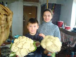 Нажмите на изображение для увеличения.&nbsp;

Название:	DSC09856.jpg&nbsp;
Просмотров:	27&nbsp;
Размер:	62.3 Кб&nbsp;
ID:	3449
