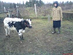 Нажмите на изображение для увеличения.&nbsp;

Название:	DSC02068.jpg&nbsp;
Просмотров:	19&nbsp;
Размер:	94.9 Кб&nbsp;
ID:	3923