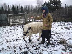 Нажмите на изображение для увеличения.&nbsp;

Название:	DSC02113.jpg&nbsp;
Просмотров:	13&nbsp;
Размер:	102.6 Кб&nbsp;
ID:	3925