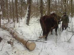 Нажмите на изображение для увеличения.&nbsp;

Название:	DSC05430.jpg&nbsp;
Просмотров:	16&nbsp;
Размер:	86.1 Кб&nbsp;
ID:	3944