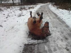 Нажмите на изображение для увеличения.&nbsp;

Название:	DSC05098.jpg&nbsp;
Просмотров:	31&nbsp;
Размер:	65.4 Кб&nbsp;
ID:	3945