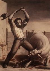 Нажмите на изображение для увеличения.&nbsp;

Название:	1325097909_manbull200.jpg&nbsp;
Просмотров:	11&nbsp;
Размер:	33.2 Кб&nbsp;
ID:	4188