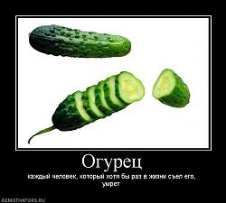 Нажмите на изображение для увеличения.&nbsp;

Название:	875314_ogurets.jpg&nbsp;
Просмотров:	16&nbsp;
Размер:	39.3 Кб&nbsp;
ID:	4362