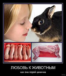 Нажмите на изображение для увеличения.&nbsp;

Название:	143026-2011.03.31-02.46.29-bomz.org-demotivator_lyubov_k_jivotniym_kak_ona_poroyi_cinichna.jpg&nbsp;
Просмотров:	22&nbsp;
Размер:	72.1 Кб&nbsp;
ID:	6017