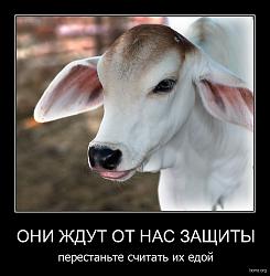Нажмите на изображение для увеличения.&nbsp;

Название:	458999-2011.03.31-08.41.59-bomz.org-demotivator_jni_jdut_ot_nas_zashitiy_perestante_schitat_ih_e.jpg&nbsp;
Просмотров:	8&nbsp;
Размер:	43.5 Кб&nbsp;
ID:	6019