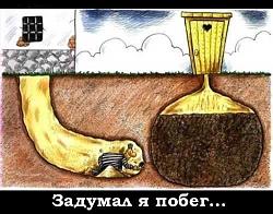 Нажмите на изображение для увеличения.&nbsp;

Название:	0fa4657502fd.jpg&nbsp;
Просмотров:	6&nbsp;
Размер:	41.3 Кб&nbsp;
ID:	6059