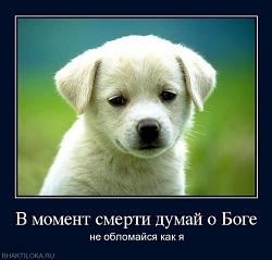 Нажмите на изображение для увеличения.&nbsp;

Название:	_20110527_1224593209.jpg&nbsp;
Просмотров:	10&nbsp;
Размер:	59.7 Кб&nbsp;
ID:	6270
