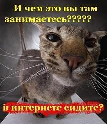 Нажмите на изображение для увеличения.&nbsp;

Название:	x_44b94080.jpg&nbsp;
Просмотров:	3&nbsp;
Размер:	52.2 Кб&nbsp;
ID:	8321