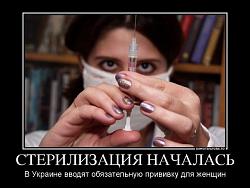 Нажмите на изображение для увеличения.&nbsp;

Название:	ПРИВИВКИ 2.jpg&nbsp;
Просмотров:	4&nbsp;
Размер:	46.4 Кб&nbsp;
ID:	9117