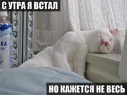 Нажмите на изображение для увеличения.&nbsp;

Название:	10334474_321842571299077_7316178209689577886_n.jpg&nbsp;
Просмотров:	4&nbsp;
Размер:	54.9 Кб&nbsp;
ID:	9121